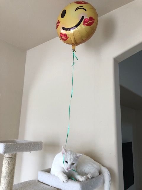 balloon2.jpg