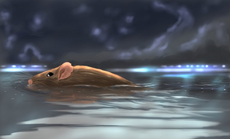 swimming mouse.jpg