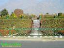 nishat_bagh2_small.jpg