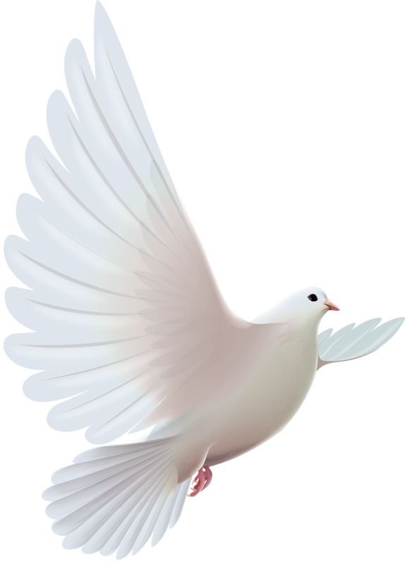 9016a26a10e6e5cb4a17dafc75408051--white-doves-clipart.jpg