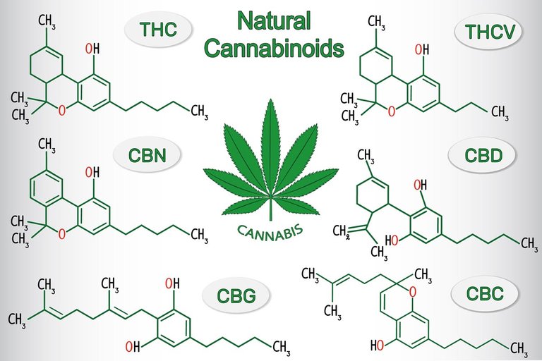 top-10-cannabinoids-and-what-they-do.jpg