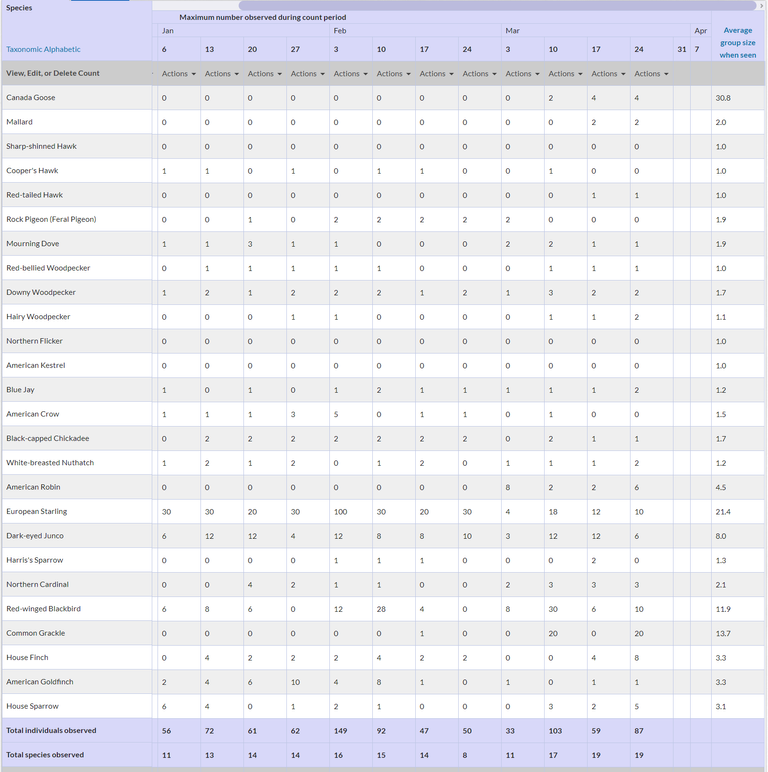 project feederwatch counts.png