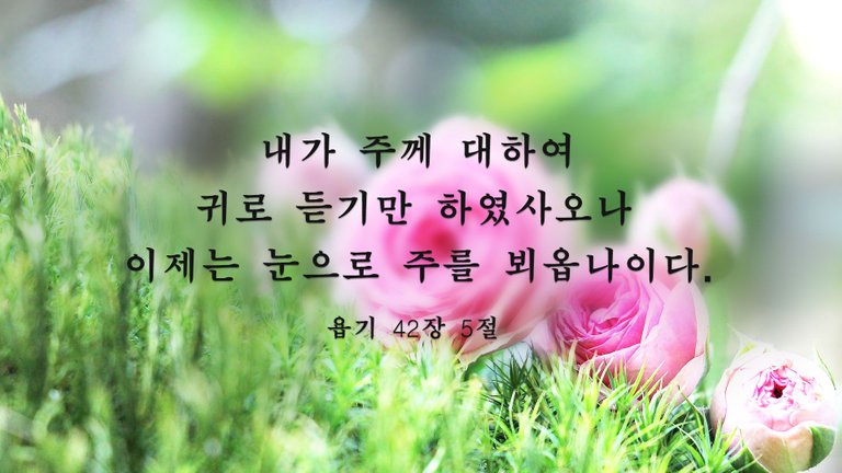 오늘의 성경구절_한글.jpg