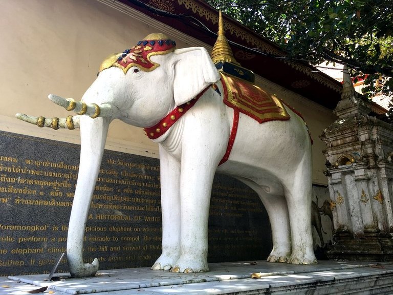 Wat Doi Suthep Chiang Mai Thailand 13.jpg