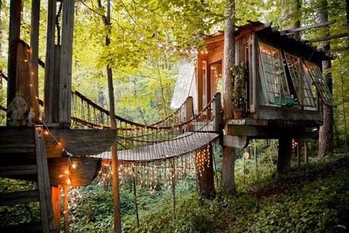 Treehouse_1_500x334.jpg