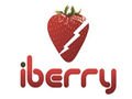 iberry.jpg