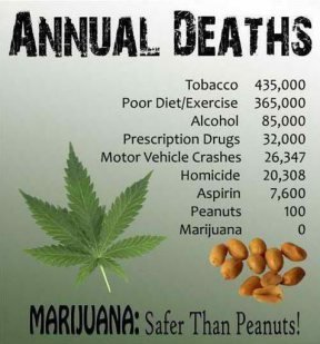 pot-facts2.jpg