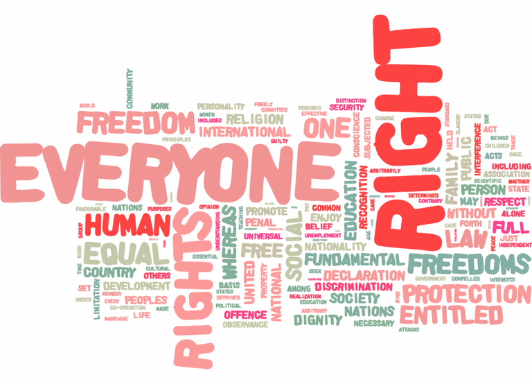 universal-declaration-of-human-rights-1024x739.png