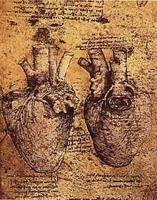 Leonardo_da_vinci,_Heart_and_its_Blood_Vessel.jpg