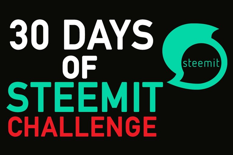300 days of steemit.jpg