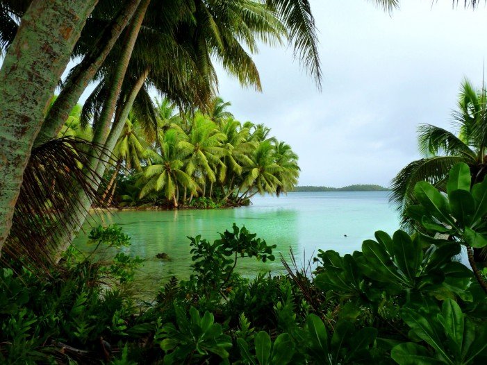 Strawn_Island_at_Palmyra_Atoll_NWR_5123999194-701x526.jpg