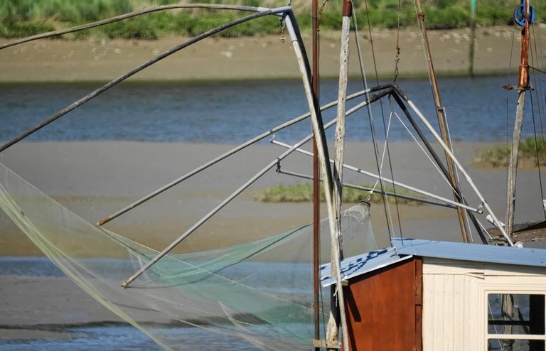 9185462507_a5b49ef753_o (FILEminimizer).jpg