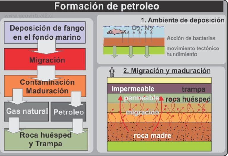 Formacion del Petroleo 2.jpg