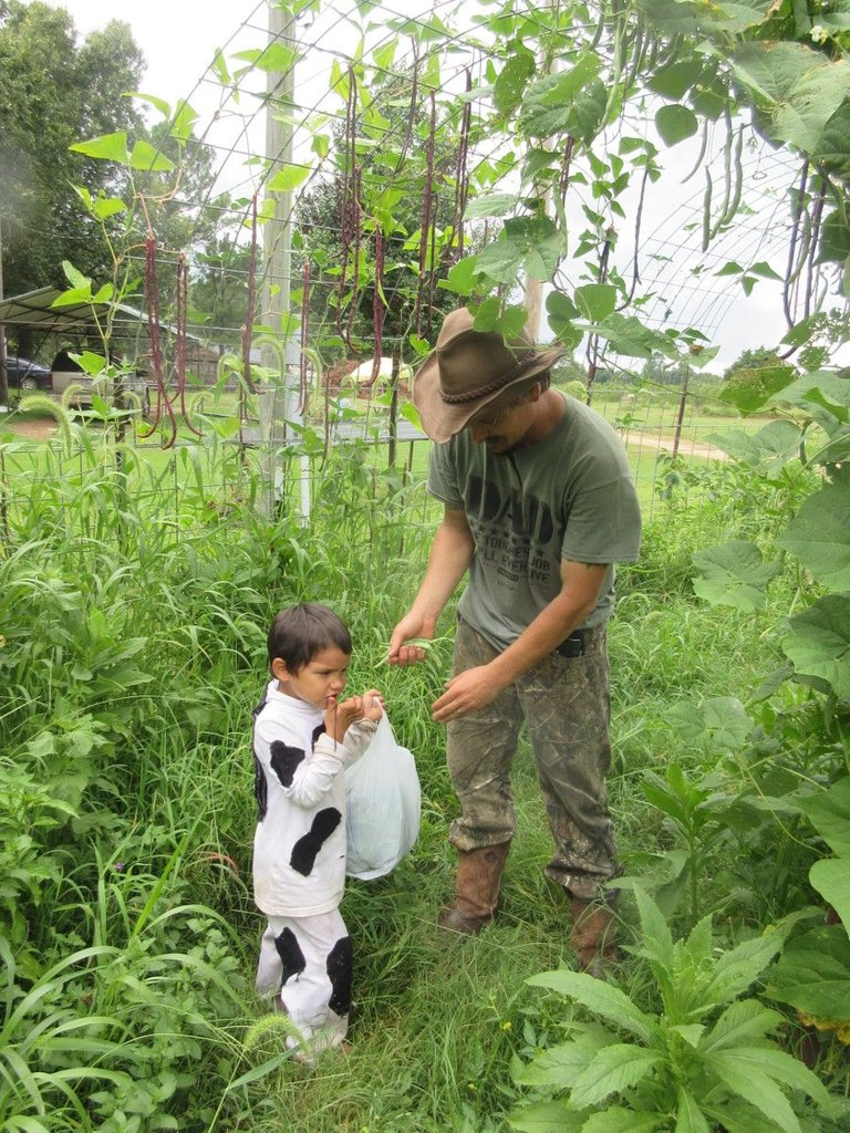 collecting_vegetables.jpg