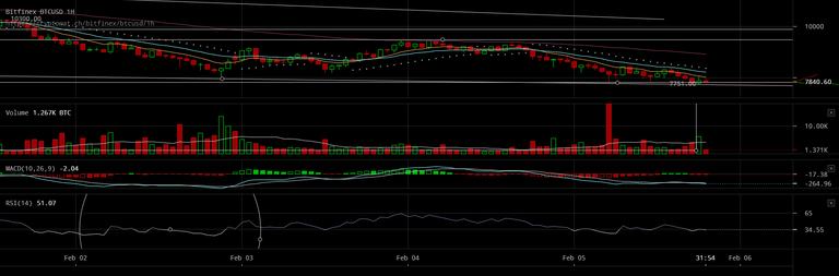 bitfinex-btcusd-Feb-05-2018-20-28-6.png