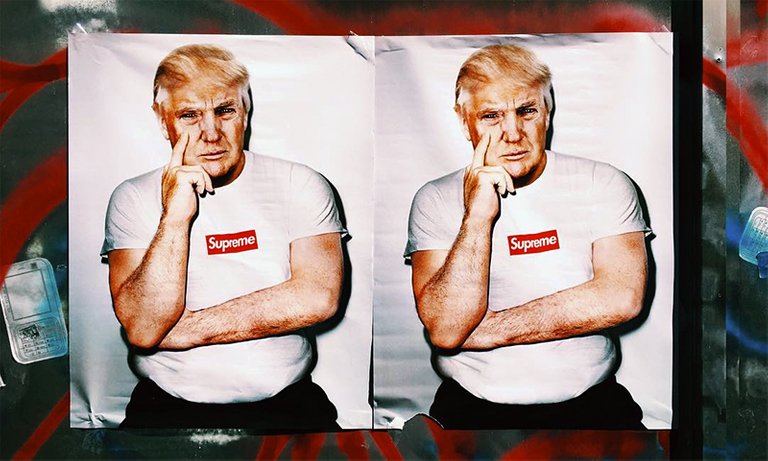 kidult-donald-trump-supreme-00.jpg