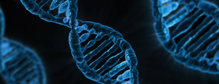 Dna-163466_(crop).png