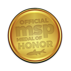 medal_of_honor_msp.png