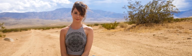 travelarielrebel.jpg