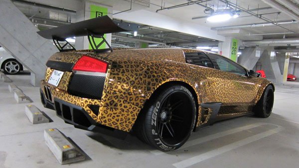 lambo-wrap-22.jpg