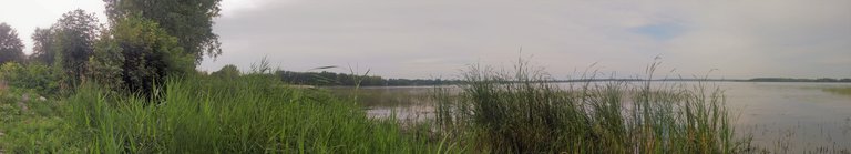 20170810_172503_Pano.jpg