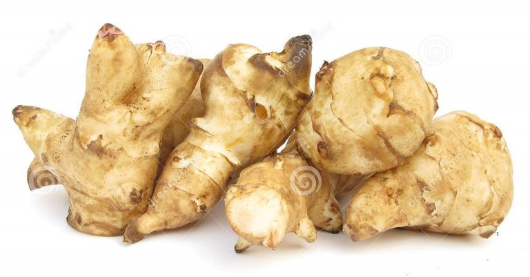 jerusalem-artichoke-sunroot-sunchoke-tuber-10729909.jpg