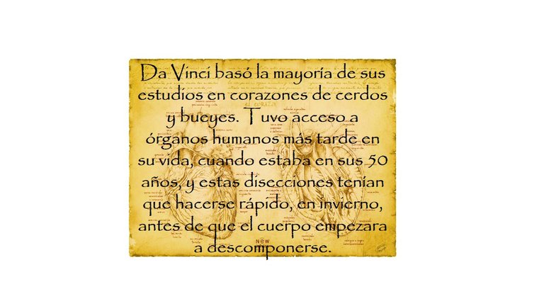 DA VINCI (5).JPG