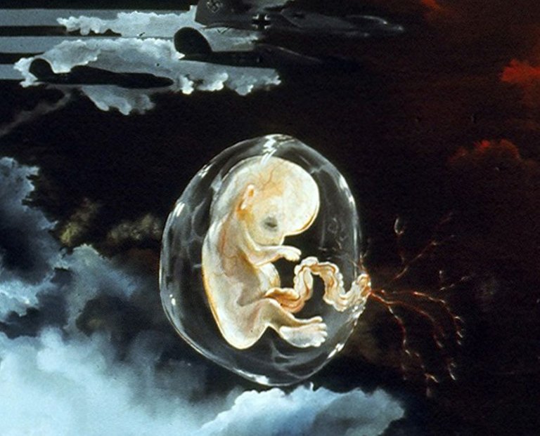 ps04400009big-detail-fetus.jpg