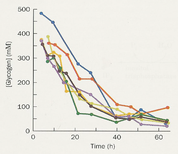 glycogen-store-depletion.PNG