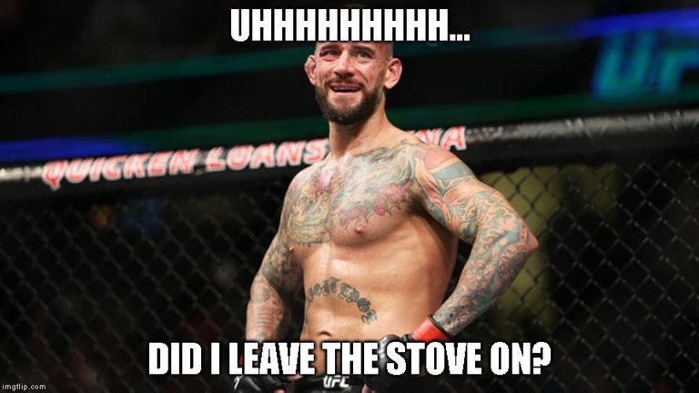 cm punk 2.jpg