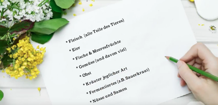 Paleo Übersicht.png