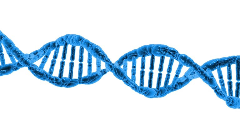 dna-163710_960_720.jpg