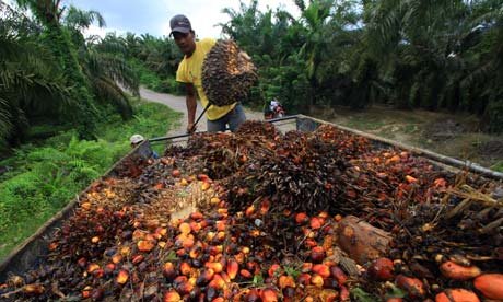 palm-oil-1.jpg