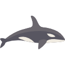 orca.png