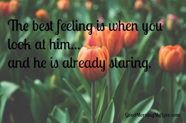staring-love-quotes-for-him.jpg