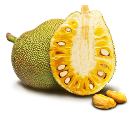 nangka.png