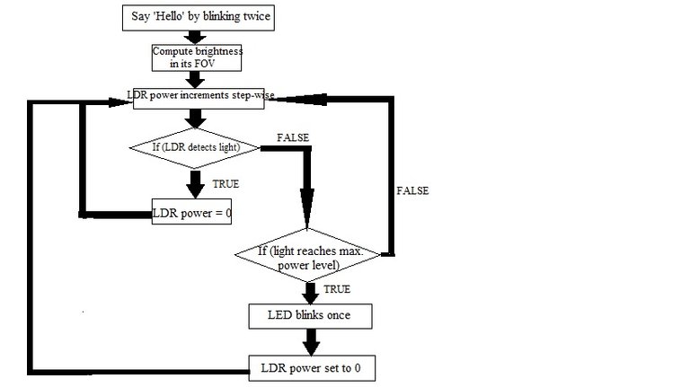 firelfy pseudo code.jpg