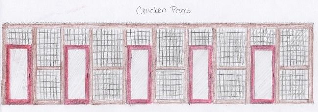 Chicken_Pens.jpg