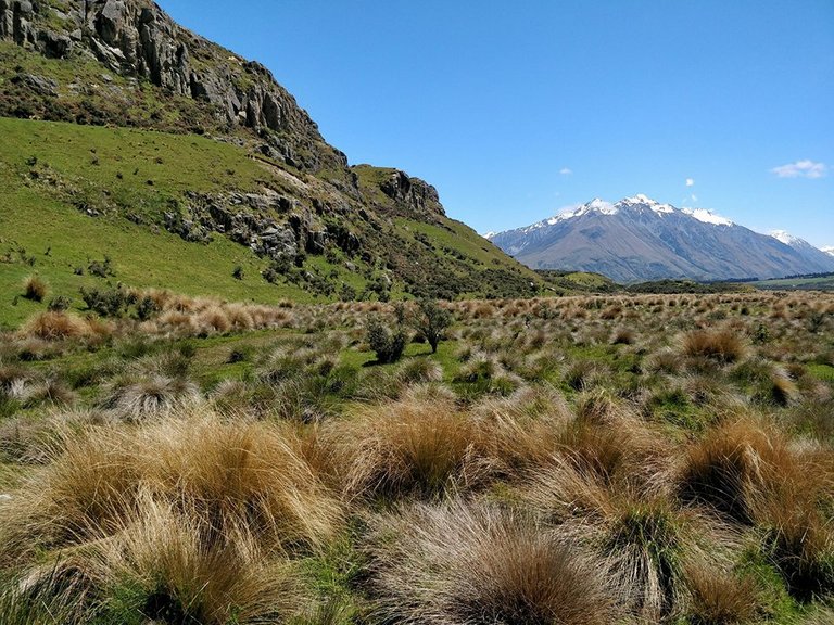 edoras8.jpg