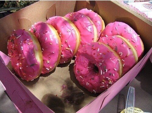 pink donuts.jpg