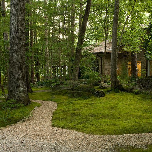 moss lawn 2.jpg