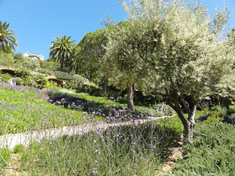 Beautiful view in park guell