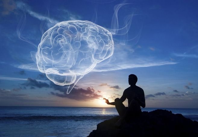 BrainHarvardMeditation.jpg