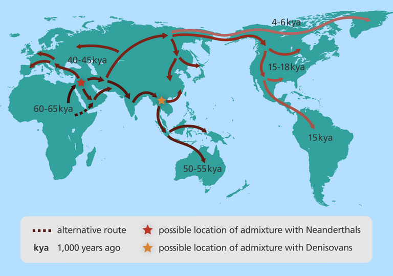 map_human_migration_yourgenome.png