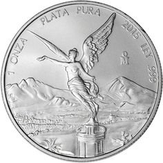 b6d21dec65a36544904f19cfd45f3f59--bullion-coins-silver-bullion.jpg