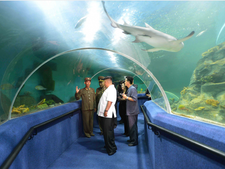the-childrens-camp-includes-an-aquarium-which-kim-visited-in-2014.jpg