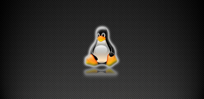 Linux-Fondo-Textura.png