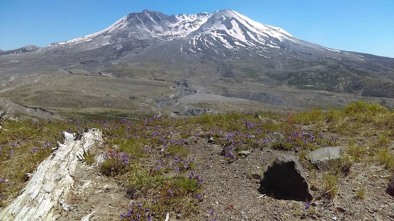 mt st helens 6.jpg