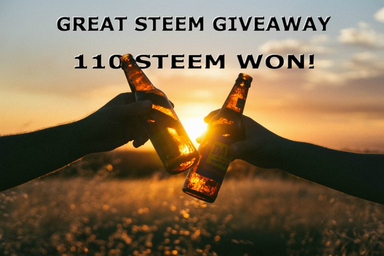 Steem giveaway winner card.jpg