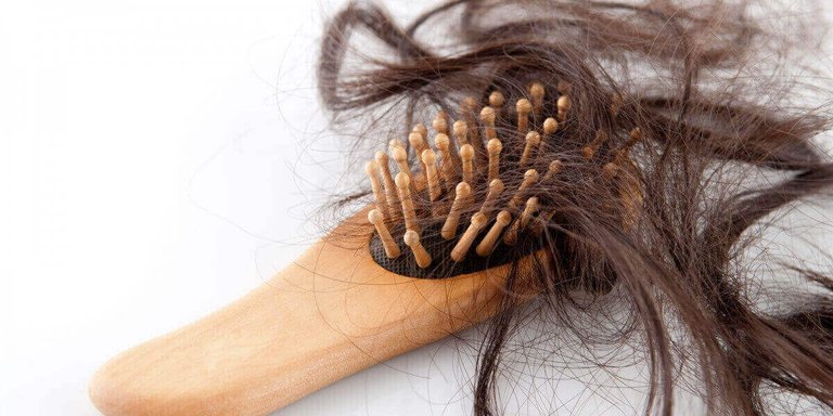 hair-loss-brush-1.jpg